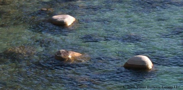 Stacks Image 8